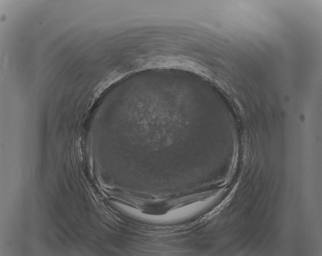 X0000084561497200703091731