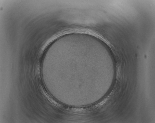 X0000084561498200703091731