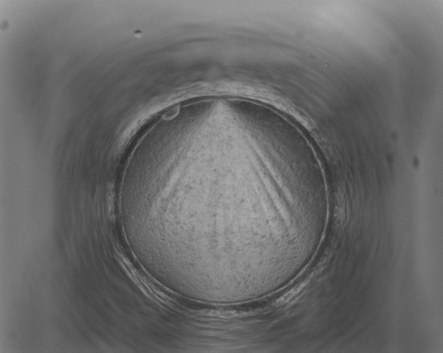 X0000084561499200703091731