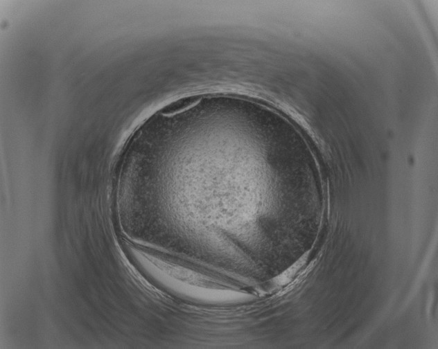 X0000084561500200703091731