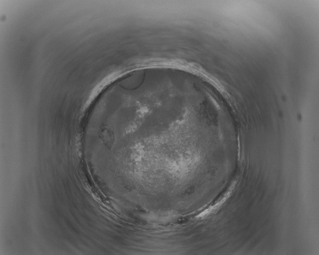 X0000084561501200703091732