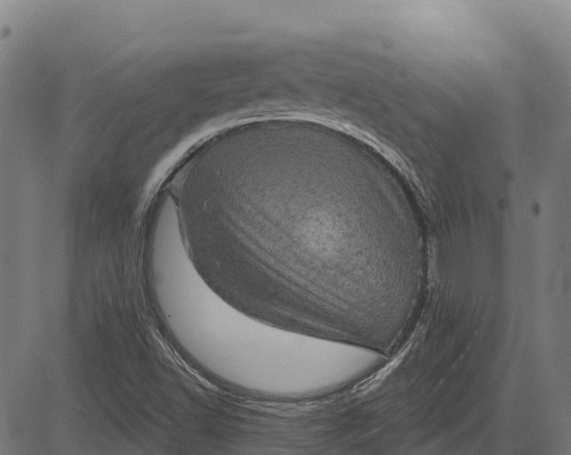 X0000084561502200703091732