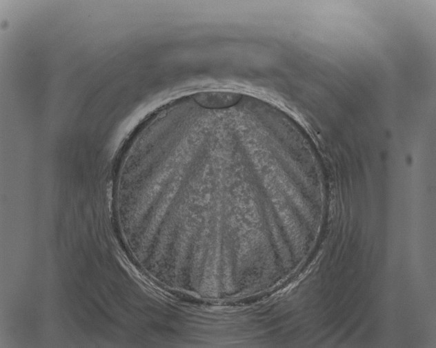 X0000084561503200703091732