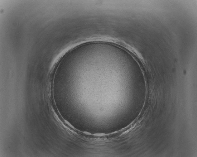 X0000084561504200703091732