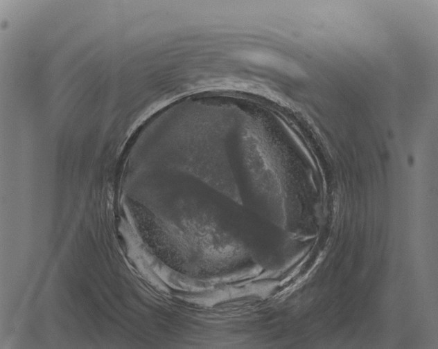 X0000084561505200703091732