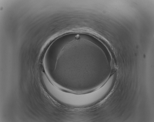 X0000084561506200703091732