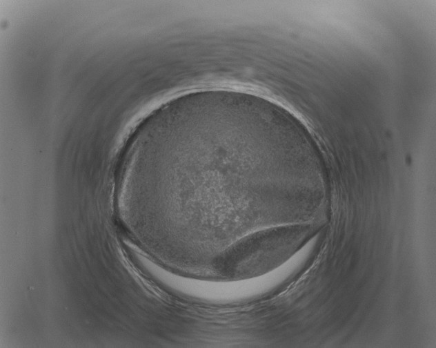 X0000084561507200703091732