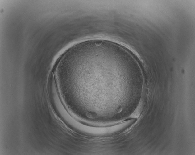 X0000084561510200703091732