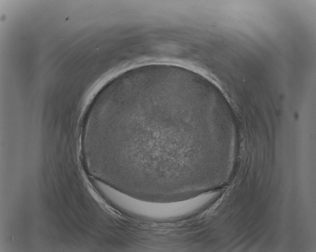 X0000084561511200703091732