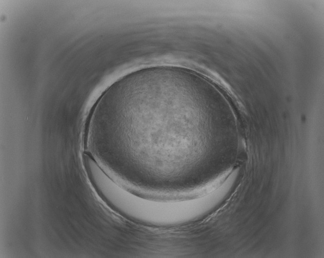 X0000084561512200703091732