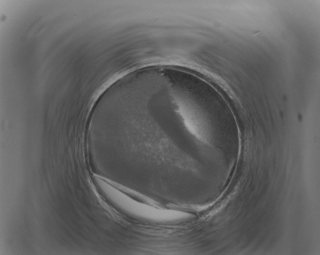 X0000084561513200703091732