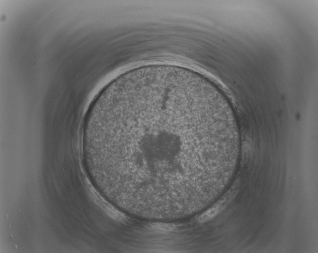 X0000084561514200703091732