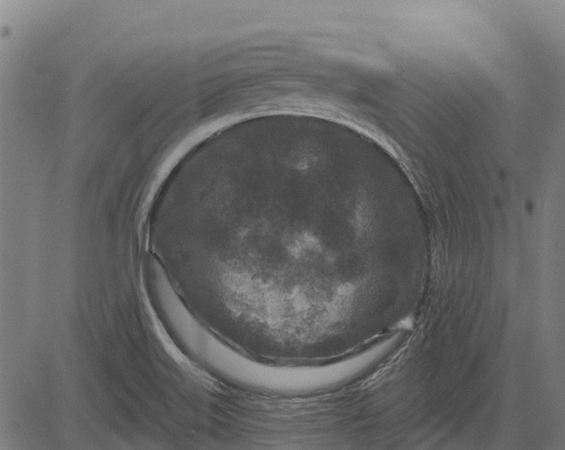 X0000084561515200703091732