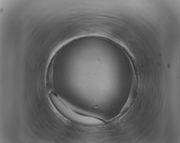 X0000084561516200703091732