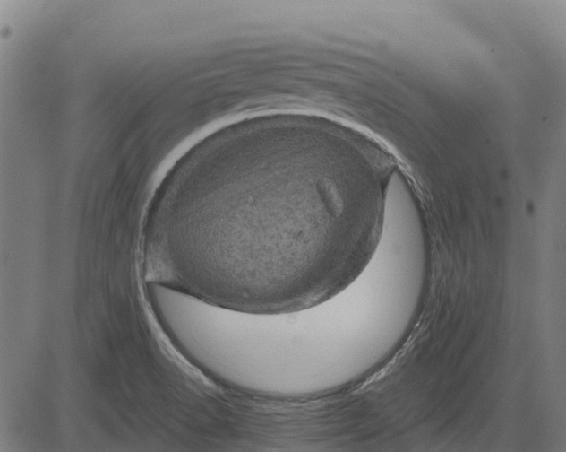 X0000084561518200703091732