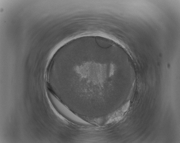 X0000084561519200703091732