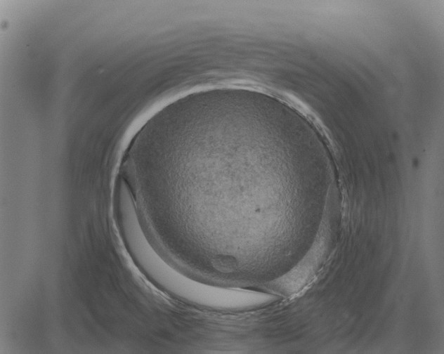 X0000084561520200703091732