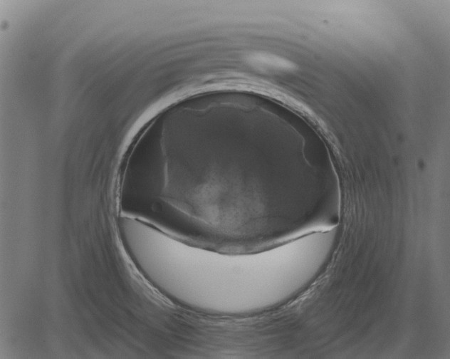 X0000084561522200703091732