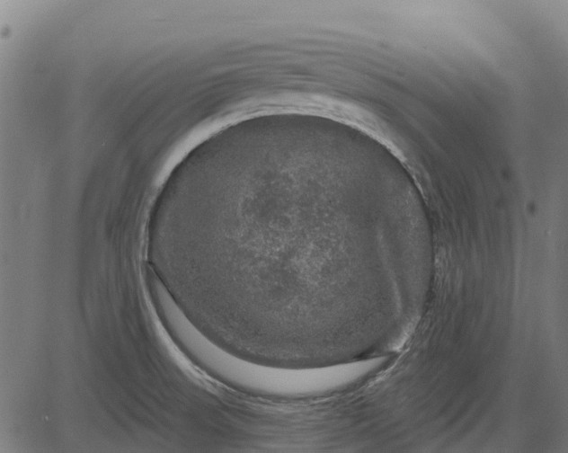 X0000084561523200703091732