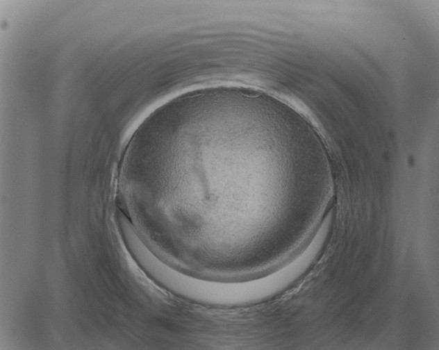 X0000084561524200703091732