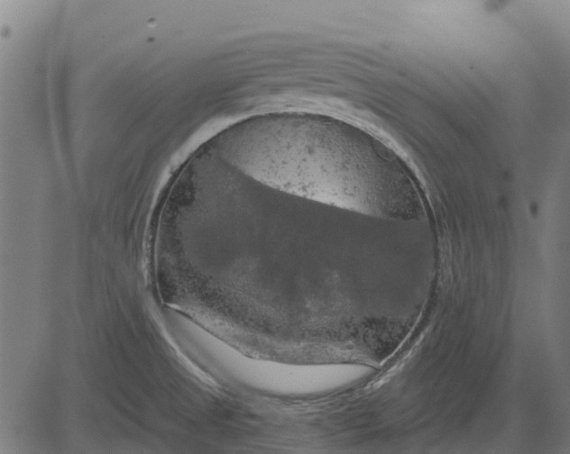 X0000084561525200703091732