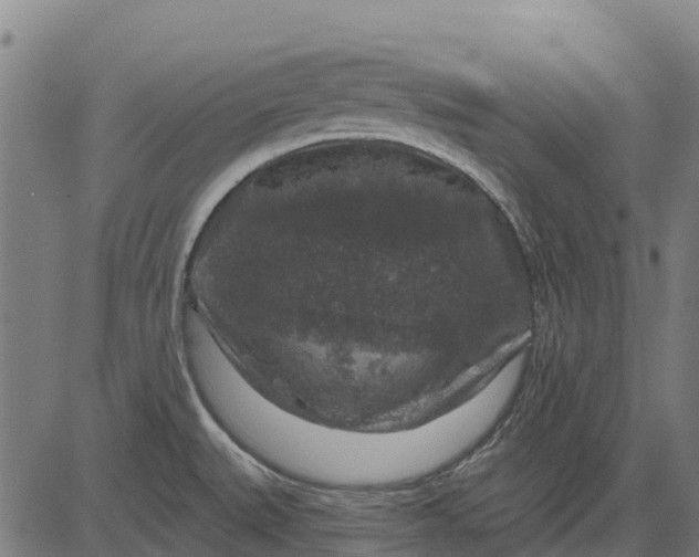 X0000084561527200703091732