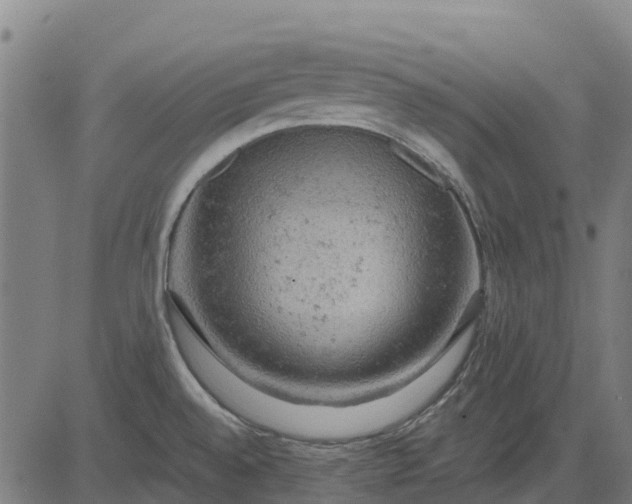 X0000084561528200703091732