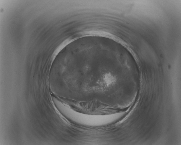 X0000084561529200703091732