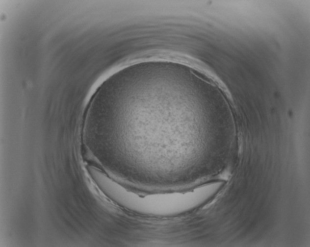 X0000084561530200703091732