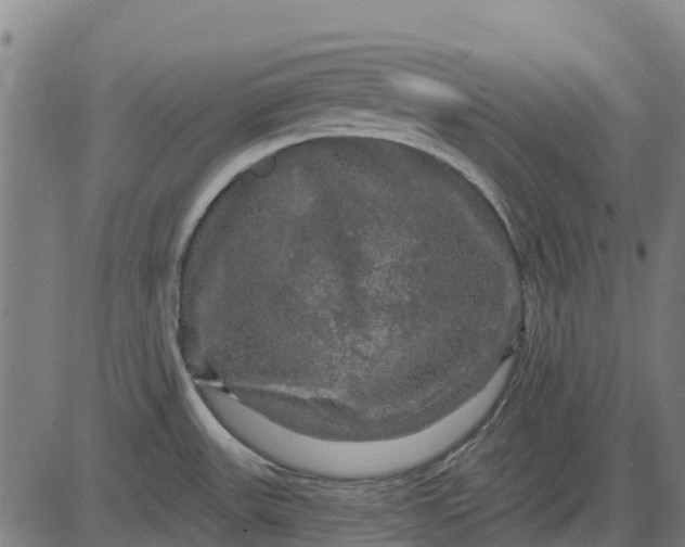 X0000084561531200703091732