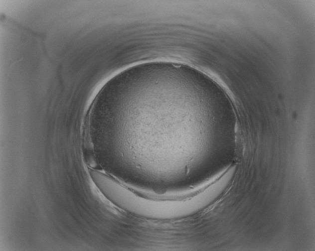 X0000084561532200703091732