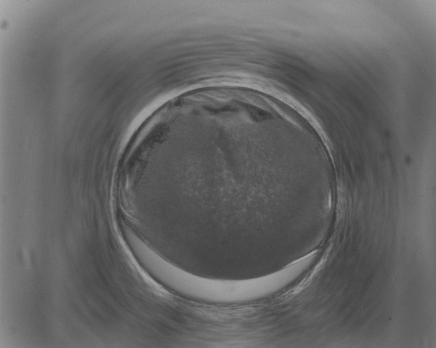 X0000084561533200703091732