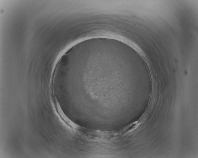 X0000084561536200703091732