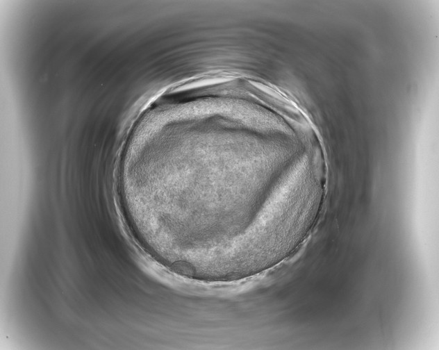 X0000084560001200703161712