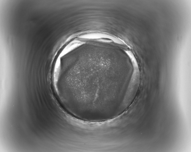 X0000084560002200703161712