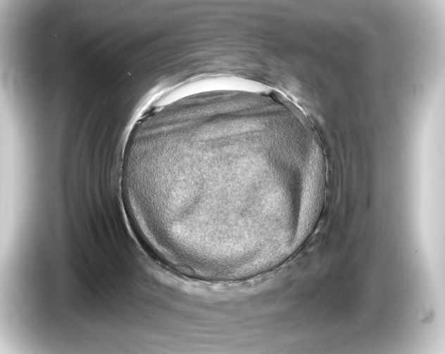 X0000084560003200703161712