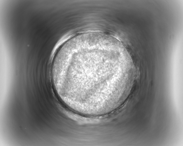 X0000084560004200703161712