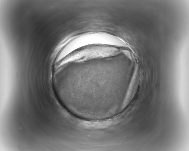 X0000084560005200703161712