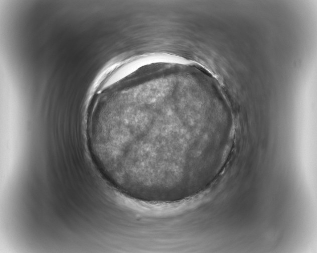 X0000084560006200703161712