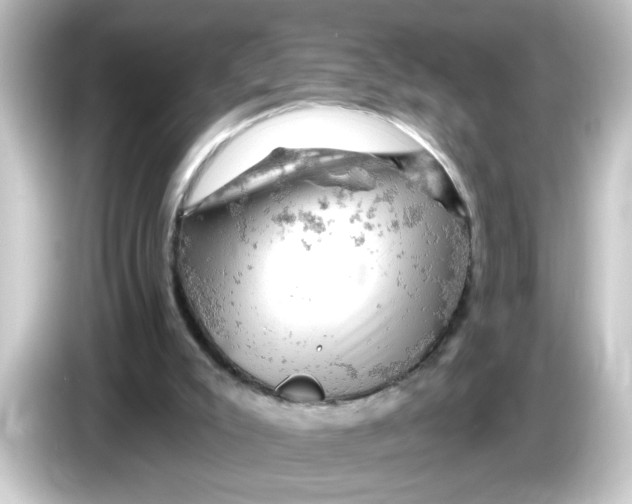 X0000084560007200703161712