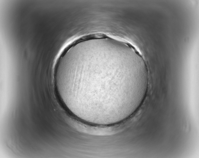 X0000084560008200703161712