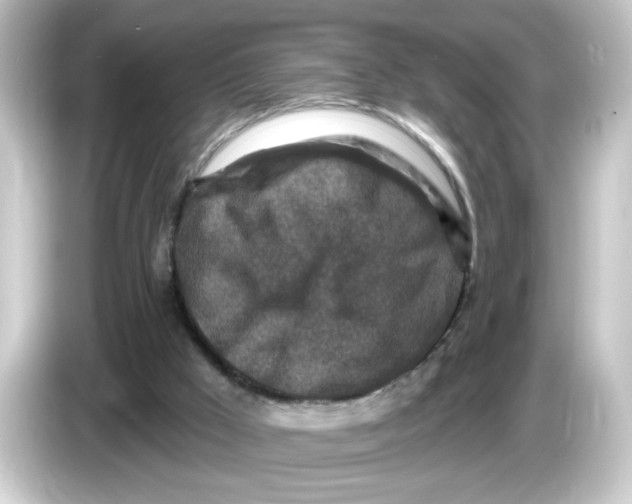 X0000084560009200703161712