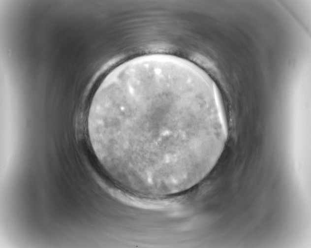 X0000084560012200703161712