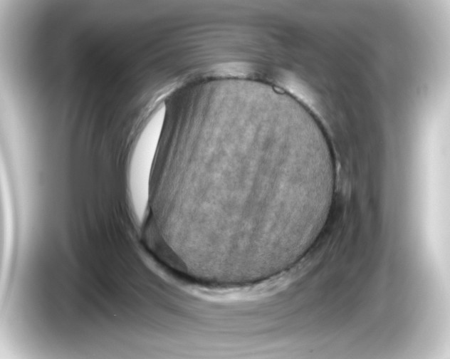 X0000084560013200703161712