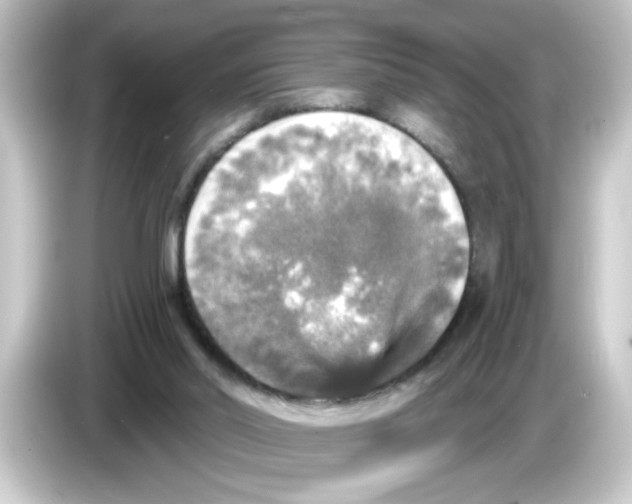 X0000084560014200703161712