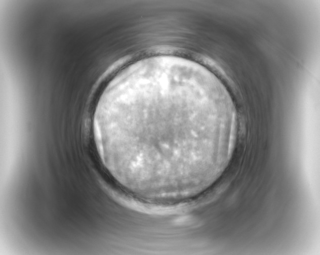 X0000084560016200703161712