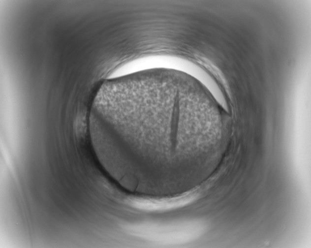 X0000084560017200703161712