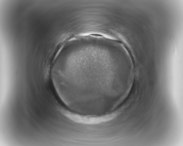 X0000084560018200703161712