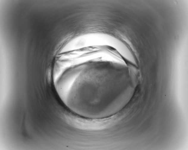 X0000084560019200703161712