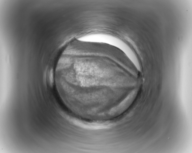 X0000084560020200703161712